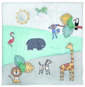 Aden & Anais Baby Bonding Platmat (GR)