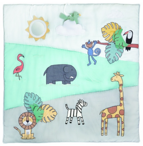 Aden & Anais Baby Bonding Platmat (GR)